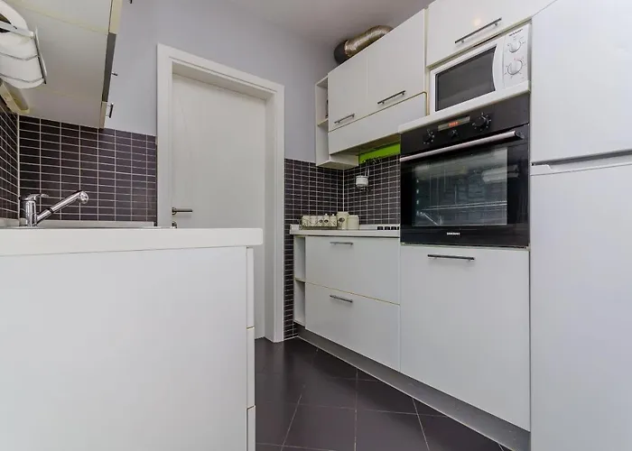 Rocky * 特罗吉尔